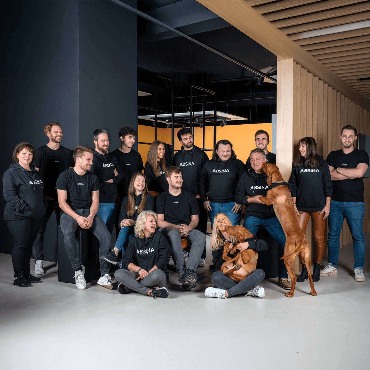 greate Story Ausbau Team
