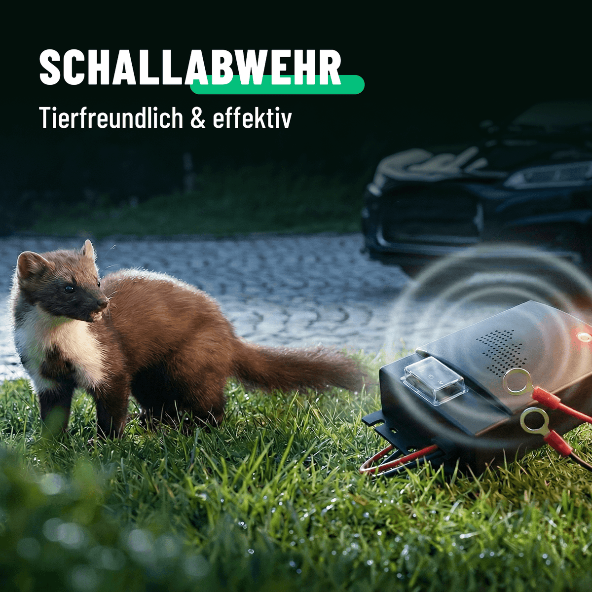 Effektive Marderabwehr mit Schall 901017-1