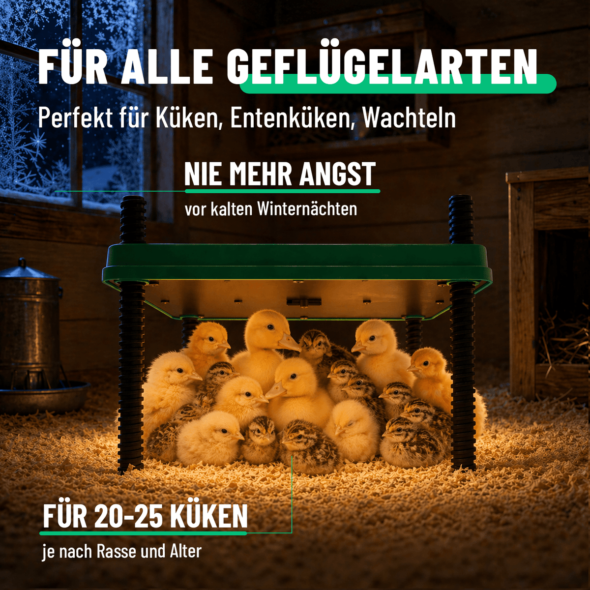 Hühner Wärmeplatte für alle Geflüegelarten