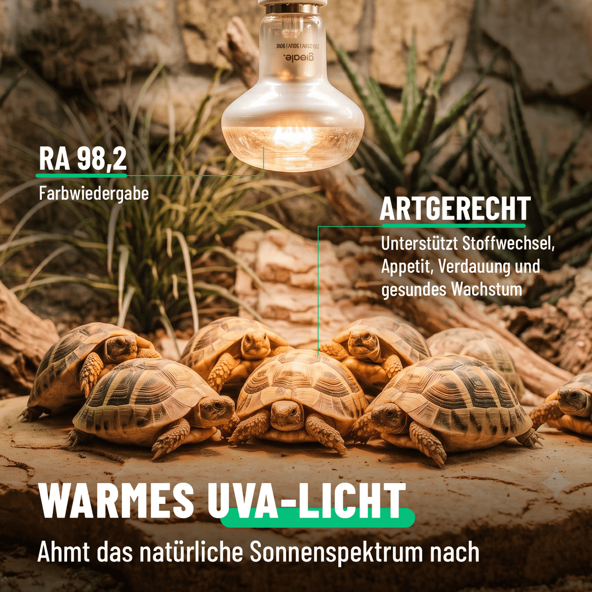Reptilien Lampe warmes UVA Licht 201102-2