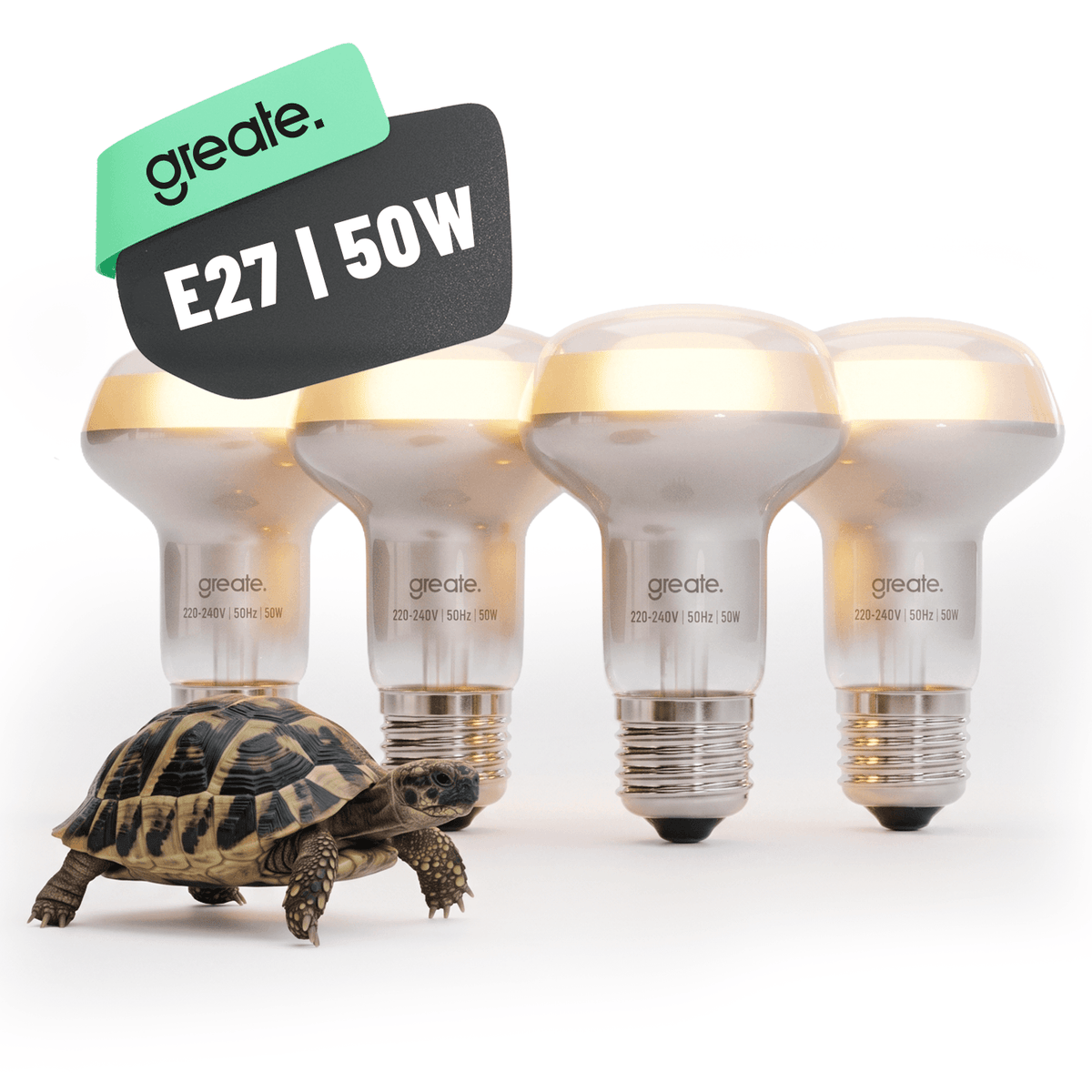 uva Terrarium Lampe E27 4er Pack 201102-4 Hauptbild