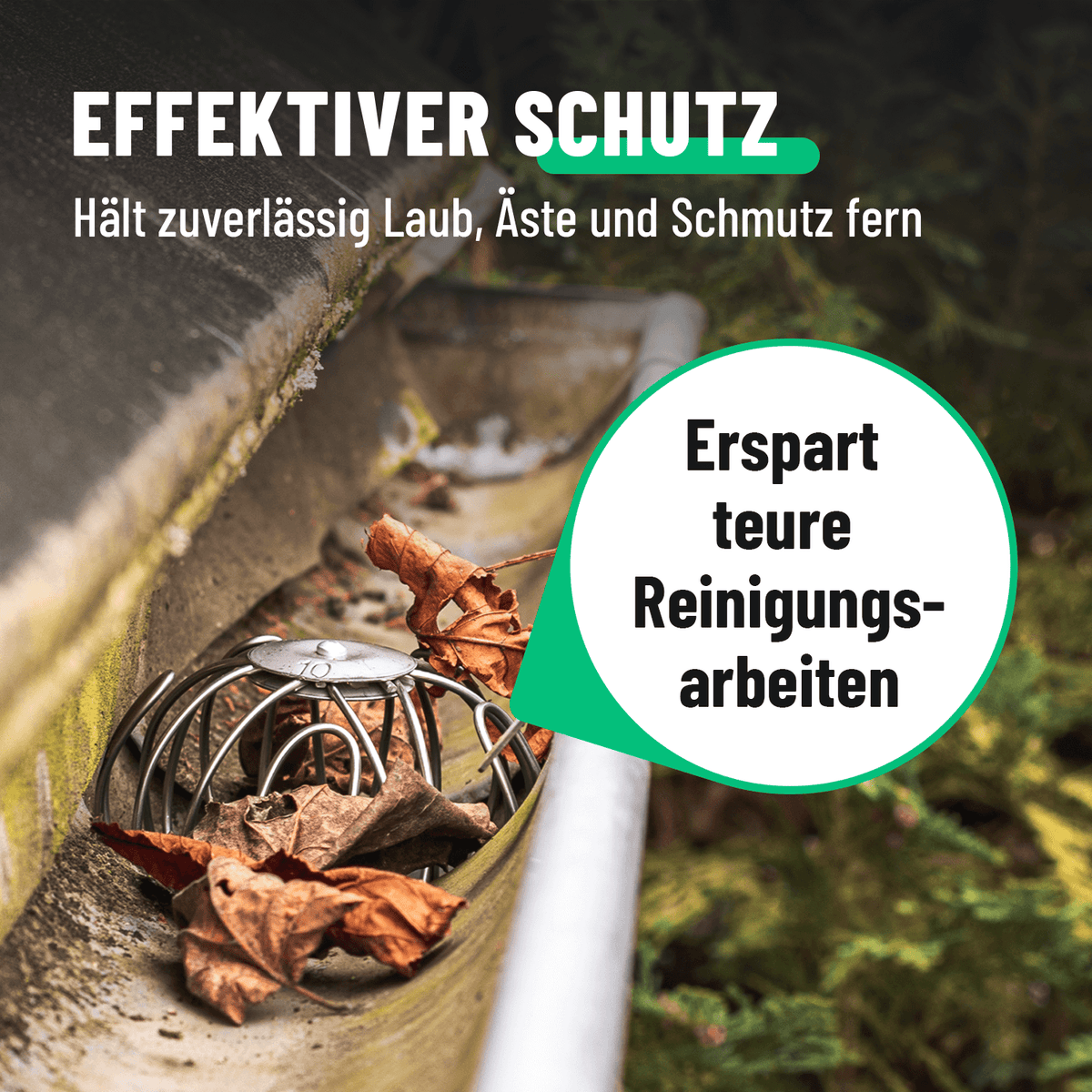 Effektiver Laubschutz für Fallrohre 101307-1