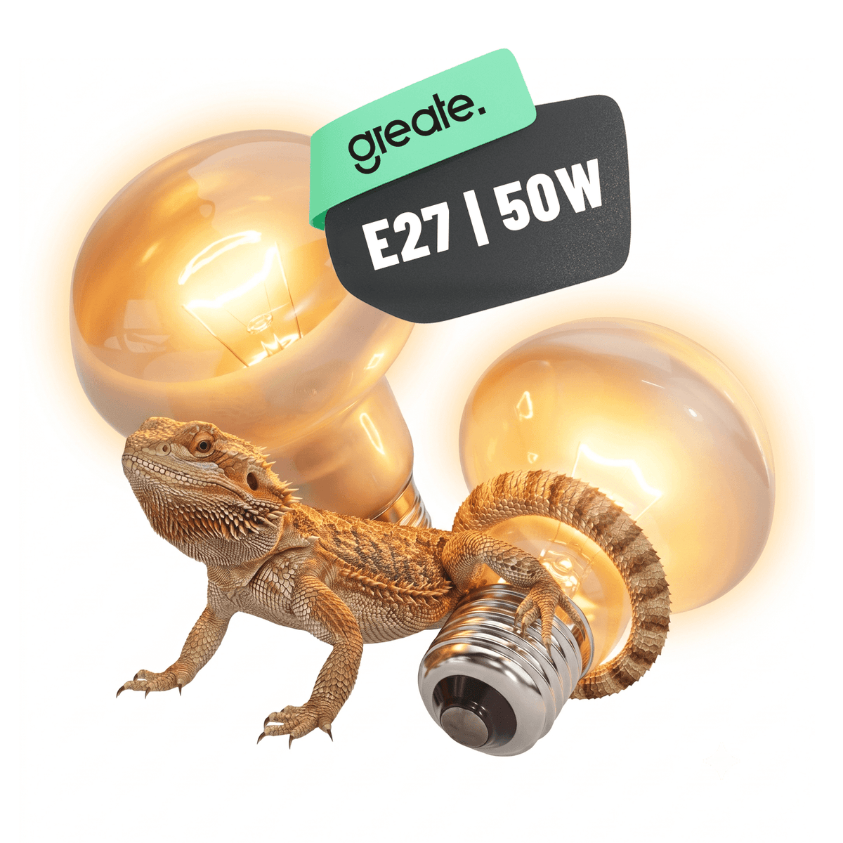 UVA Terrarium Lampe E27 2er Pack 201102-2 Hauptbild