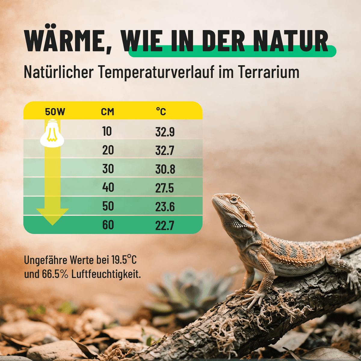 UVA Wärmelampe E27 Temperatur 201102-5